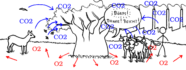 [Illustration: CO2-Überschuss]